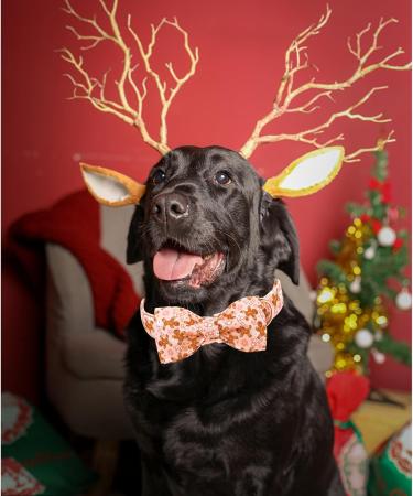 Shop Lionheart Glory Pink Christmas Dog Collar - Adjustable Soft Fly Collar for Large Dogs & Girls - X-Large (1 Pack) - Perfect Holiday Gift! - Buy Online on SooperMarket.com