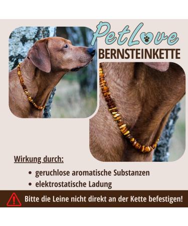 PetLove 100% Baltic Amber Necklace for Dogs & Cats - 55cm Dog Collar | Natural Healing Benefits - Buy Online on SooperMarket.com