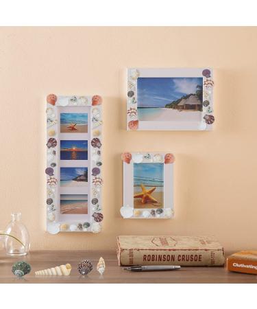 Weoxpr 200pcs Assorted Sea Shells for Fish Tank, Home Decor, Beach Theme Party, Candle Making, Wedding Decor - Natural Ocean Beach Seashells in Various Sizes for DIY Crafts - Buy Online on SooperMarket.com