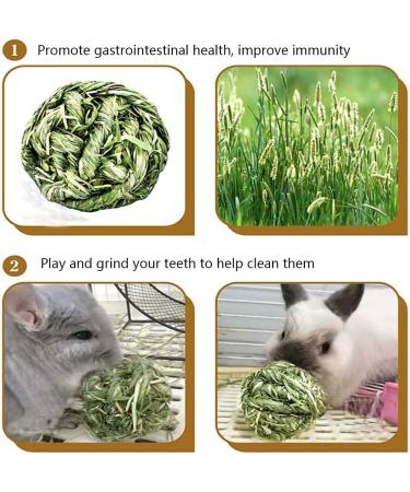 6pc Rabbit Chew Ball Timothy Grass Toys for Small Animals - Ideal for Bunny Rabbits, Hamsters, & Guinea Pigs - Buy Online on SooperMarket.com