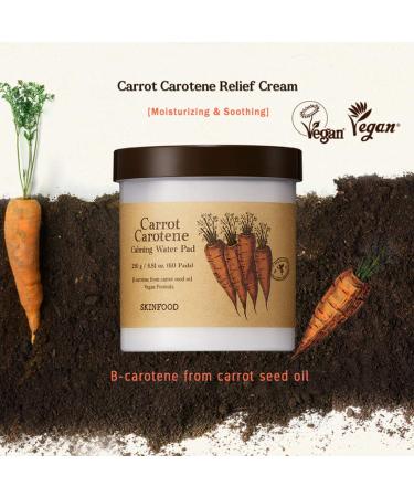 SKINFOOD Carrot Carotene Calming Water Pad 250g - Redness Relief 60 Sheets - Buy Online on SooperMarket.com