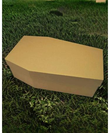 petbye XL Cardboard Animal Coffin Natural - 60 x 36 x 21 cm Pet Coffin for Funeral and Earth Funeral Pet Solid Cardboard Animal Coffin Extra Stable Gr. XL - Buy Online on SooperMarket.com