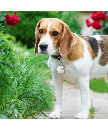Personalized Yhananti Dog Tag - Engraved Stainless Steel Name Tag for Dogs Cats & Puppies | Custom Collars with Name Phone Number & Address - Buy Online on SooperMarket.com