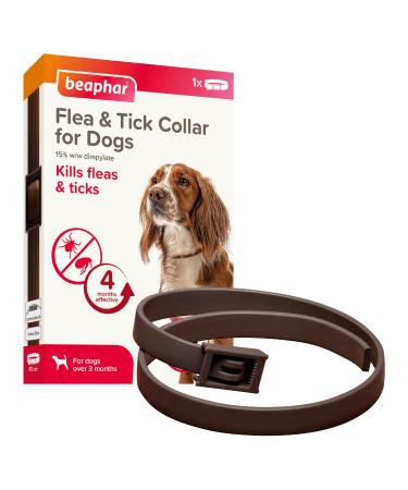Beaphar - Flea & Tick Collar for Dogs - Long-Lasting - Kills Fleas & Tick for up to 4 Months - Veterinary Medicine - For Dogs over 3 Months - 1 x 65 cm Brown Collar