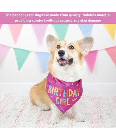 NPQ Pink Dog Birthday Bandana Adjustable Pet Birthday Bandana for Samll Dog Cat Pig Ect Your Pet's Special Day for Small Pets Birthday Party Supplies - Buy Online on SooperMarket.com
