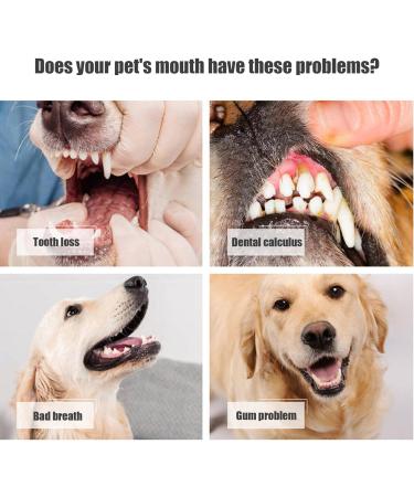 Dog Toothbrush 3 Sided Toothbrush 4PCS Triple Head Dog Toothbrushes for Dogs Dental Care with Soft Bristles Cleaning Brushes with Long Handle for Dog Cat Oral Dental Health - Buy Online on SooperMarket.com
