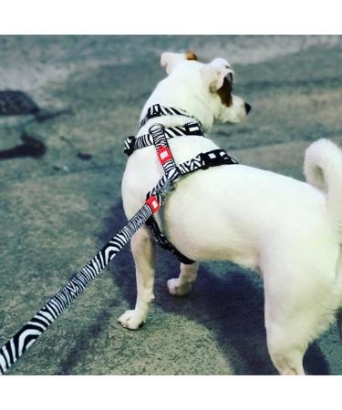 Max & Molly Zebra H-Dishes - Stylish & Durable Pet Bowls for International Shipping - Buy Online on SooperMarket.com