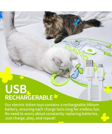 All For Paws 2 in 1 Automatic Cat Toys - Hide & Seek Flutter Bug Spinner for Indoor Cats - Buy Online on SooperMarket.com