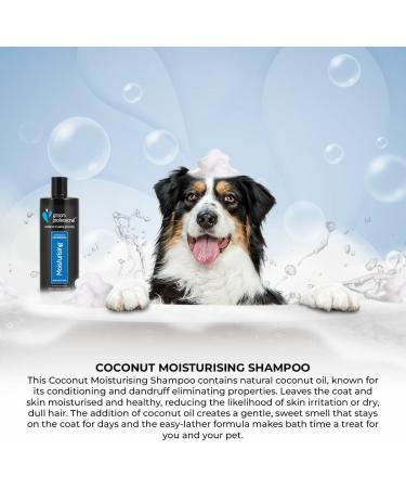 GROOM PROFESSIONAL Coconut Moisturising Dog Shampoo - Soothing & Nourishing 4L - Buy Online on SooperMarket.com