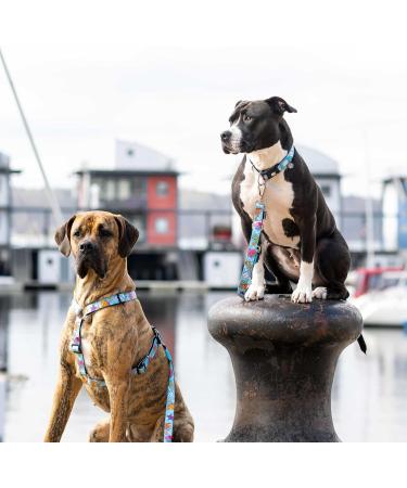 Buy Max & Molly H-Harness - Blue Ocean | Stylish & Durable Pet Harness for International Shipping - Buy Online on SooperMarket.com