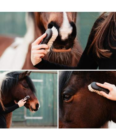Animalon Goat Hair Brush - Soft Gloss & Dust Brush for Horses | Essential Horse Accessories for Grooming & Cleaning - Buy Online on SooperMarket.com