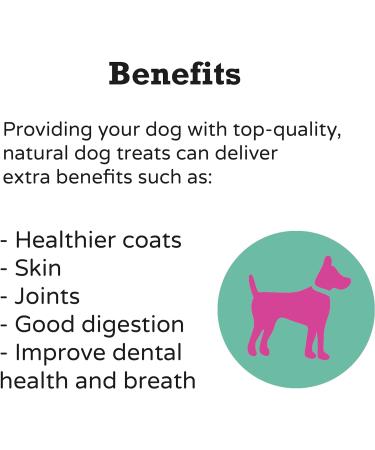 Drool Pet Products 100% Pigs Ears (10 Pack) | Natural Healthy Dog Chews | Raw Dog Treats - Grain, Gluten & Lactose Free - Buy Online on SooperMarket.com