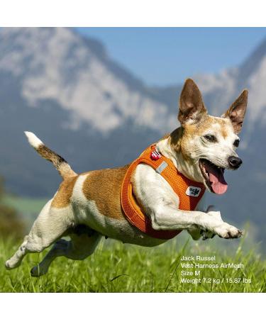 Buy XL Sky Blue Air-Mesh Vest Harness without D-Ring Buckle - Perfect for Pet Comfort & Style - Buy Online on SooperMarket.com