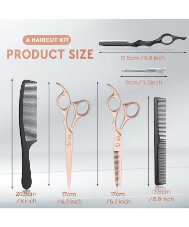 JASON Professional Hairdressing Scissors Set - 6.5 inch Hair Cutting & Thinning Scissors, Rose Gold Hairdresser Set - Buy Online on SooperMarket.com