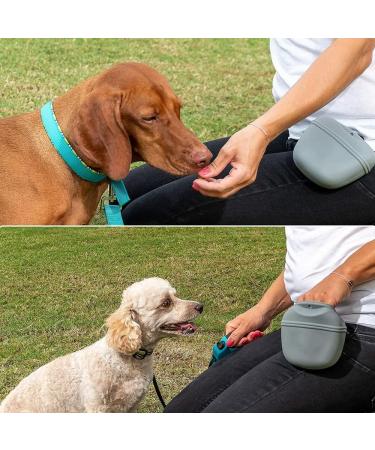 Ki Wednesday Silicone Food Pouch for Dogs - Leak-Proof Snack Pocket with Magnetic Closure for Training - International Shipping Available - Buy Online on SooperMarket.com