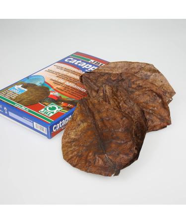 JBL Catappa 25198 - 10 XL Tropical Almond Leaves for Freshwater Aquariums | International Shipping Available - Buy Online on SooperMarket.com
