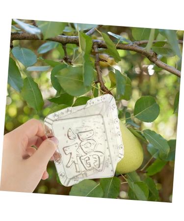 GANAZONO 4 Pcs Square Apple Molds Mushroom Square molds for Garden Shaper Cucumber Alien - Buy Online on SooperMarket.com