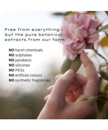 Jurlique Rose Hand Wash - Nourishing Natural Cleanser for Soft Hands | International Shipping Available - Buy Online on SooperMarket.com