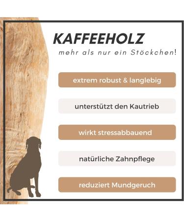 Supravit Natural Coffee Wood Chewing Bones for XS Puppies | Long-Lasting Play & Excitement | Caustab Puppy Chew Toys - Buy Online on SooperMarket.com