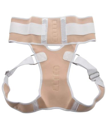 Jalzdieod Orthopedic Back Support Magnetic Posture Corrector-L 243224A2 - Buy Online on SooperMarket.com