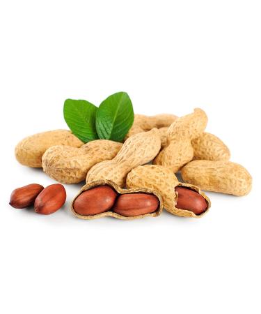 Fruidles Raw Peanuts  Raw Peanuts in Shell  Great for Boiling  Squirrels Feed  Birds Feed and Wildlife  3.5LB Bag (2-Pack) - Buy Online on SooperMarket.com