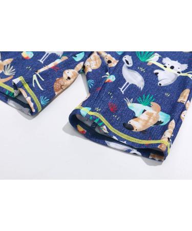 BONVERANO Baby Boys Swimsuit UPF 50+ Sun Protection | Koala Design | 3-6 Months - Buy Online on SooperMarket.com