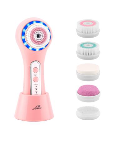 Electric Facial Cleansing Brush with 3 Operating Modes & 5 Replaceable Face Scrub Brush Heads, Waterproof Cleanser Remove Dirt, Oil, Makeup Residue, USB Rechargeable Facial Exfoliator & Massager (J02)