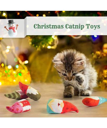 BIUBIUCAT Christmas Catnip Toys - 5PCS Interactive Kitten Chew Plush Gift Set - Buy Online on SooperMarket.com