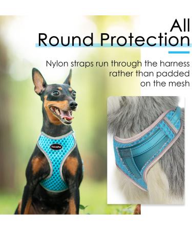 Thinkpet No-Pull Dog Harness Leash Set - Breathable Padded Reflective Safety Harness for Small Medium Large Dogs - Adjustable Running Harness (1 Pack) - Blue - Buy Online on SooperMarket.com