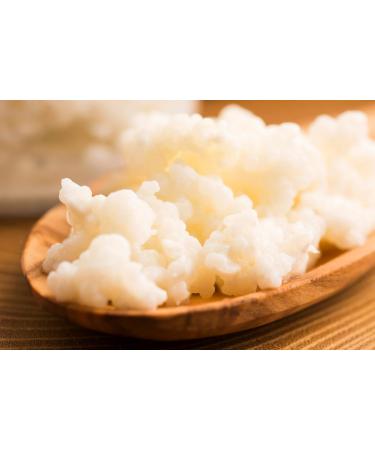Curly Superfood Bio Kefirilz Set - 10g Organic Kefir Starter Cultures from Germany - Make Real Milk Kefir at Home - Buy Online on SooperMarket.com