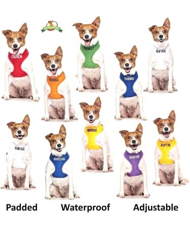 NERVOUS (Give Me Space) Yellow Colour Coded Non-Pull Dog Harness and 60cm 1.2m 1.8m Luxury Neoprene Padded Handle Lead Sets PREVENTS Accidents By Warning Others Of Your Dog In Advance (Harness & 1.8m) Harness & Long 1.8m/72inch Lead - Buy Online on SooperMarket.com