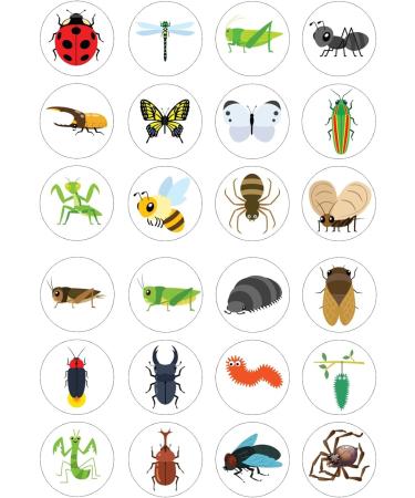 24 edible PRE CUT Insect insects bugs kids childrens party decoration cupcake toppers on wafer rice paper - Buy Online on SooperMarket.com