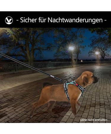 POPOT No Pull Dog Harness - Reflective Pet Vest for Training & Walking | XS Mint Blue - Buy Online on SooperMarket.com