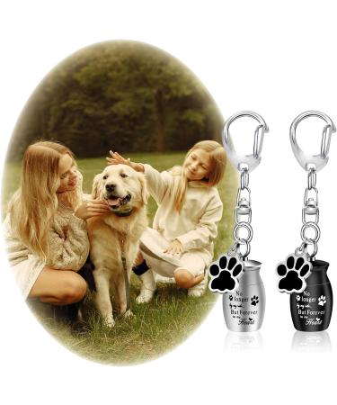 KALIONE 2 Pcs Pet Urns Keychain Dog Urns for Ashes Dogs Ashes Keepsake Stainless Steel Small Pet Urns for Dogs Cat Ashes Urns with Storage Bags Pet Cremation Jewelry Pend Paw Print Urn - Buy Online on SooperMarket.com