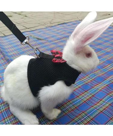 2-Pack Adjustable Pet Dishes & Leash for Rabbits Squirrels Bunnies Ferrets & Chinchillas - Ideal for International Shipping - Buy Online on SooperMarket.com