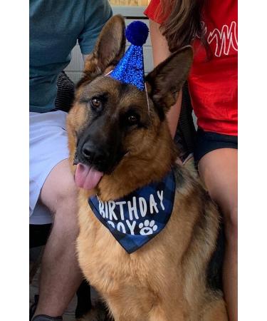 Dog Birthday Boy Bandana Dog Bandana Christmas Birthday Gift Washable Triangle Scarf Soft Pet Decorations Neckerchief Bow Ties for Small Medium Dog (Blue) - Buy Online on SooperMarket.com