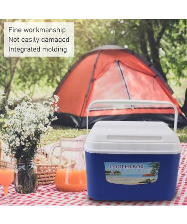 Insulin Cooler Box 5L Portable Insulin Cooling Travel Bin for Outdoor Medicition Food (Blue) - Buy Online on SooperMarket.com
