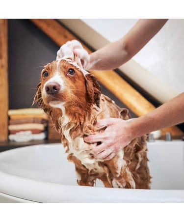 Iv San Bernard Trad Pek Conditioner 250 ml - Nourishing Dog Hair Care for All Breeds | International Shipping Available - Buy Online on SooperMarket.com