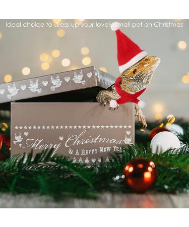 Petyoung Reptiles Hat & Scarf Set for Lizards Bearded Dragons Geckos - Christmas Hat Shell Red Leash & Dishes - Perfect Gift for Small Animals - Buy Online on SooperMarket.com