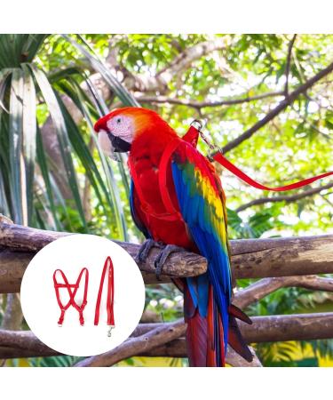 Felenny Bird Dishes & Leash - Adjustable Outdoor Accessories for Scarlet Macaw Sun Conure and Nymphensittich - Anti-Bite Protection (Large Red) - Buy Online on SooperMarket.com