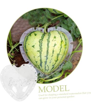 OSALADI Plant Plastic Fruit Clear Fruit Yard Fruit Fruit Forming Heart-Shaped Pumpkin - Buy Online on SooperMarket.com