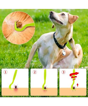 Melliex Tick Pliers Set - 6-Pack Stainless Steel Tick Removers for Humans Dogs Cats & Children | Safe & Easy Tick Removal with Storage Box - Buy Online on SooperMarket.com