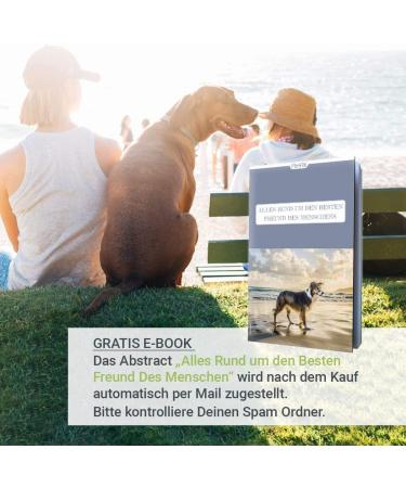 Petp l Dog Tubes Trial Set - Grain-Free Healthy Treats for Puppies - 3x75g Premium Poultry Salmon Snacks Made in Germany - Buy Online on SooperMarket.com