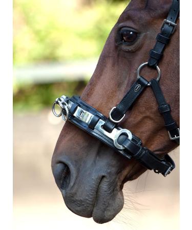 Heinick-Reitsport Professional Leather Cavesson - Black Stainless Steel Bit Strap Nosepiece for Thoroughbreds | International Shipping Available - Buy Online on SooperMarket.com