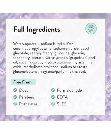 J.R. Watkins Natural Home Care Hand Soap - Lavender Scent | 11 Oz - Eco-Friendly & Soothing Cleanser for International Shipping - Buy Online on SooperMarket.com