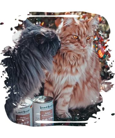 Venandi Animal Premium Wet Cat Food - Grain-Free Chicken Monoprotein 12 Pack (12 x 125g) - International Shipping Available - Buy Online on SooperMarket.com