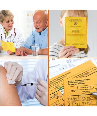 Buy A6 Protective Covers for ID Cards & Vaccination Certificates | 3-Pack | 148x105mm - Buy Online on SooperMarket.com