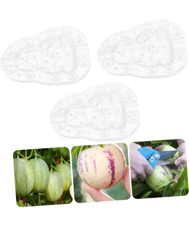 Happyyami Gardening Tool 6 Pcs Vegetable Mold Fruits Shaping Planting Small Mold Shaper Multifunction 9x8cmx2pcs Transparentx2pcs - Buy Online on SooperMarket.com