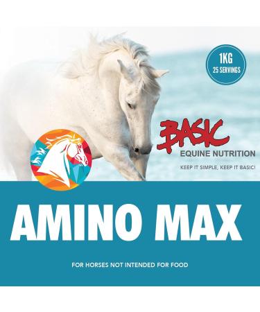 Amino Max (1 Kg) - Buy Online on SooperMarket.com