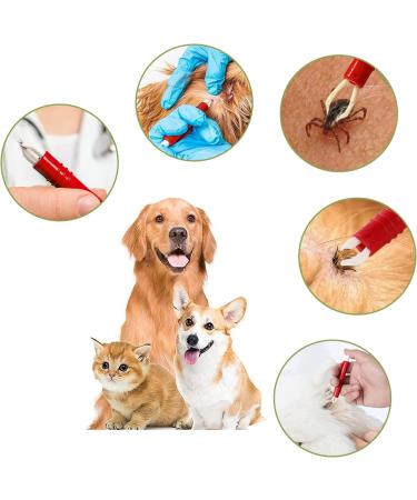 Nepfaivy Tick Pliers for Dogs Cats & Humans - 2 Set Tick Tweezers for Safe Easy Tick Removal of All Sizes - Buy Online on SooperMarket.com